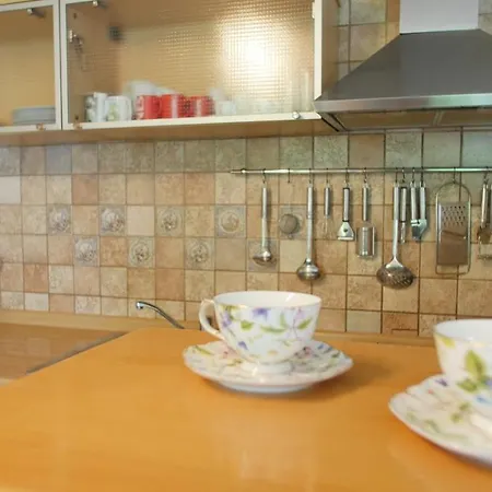 S&z Apartment Pula